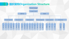 Sints organization structure
